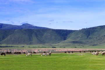 Ngorongoro Safari