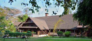 Arumeru river lodge