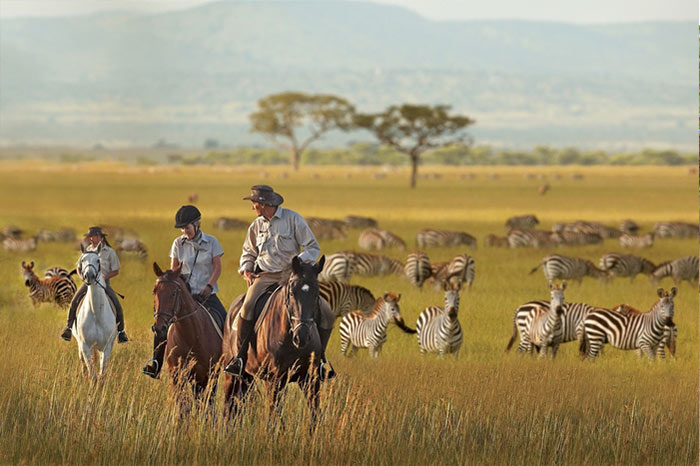 Horse Safaris