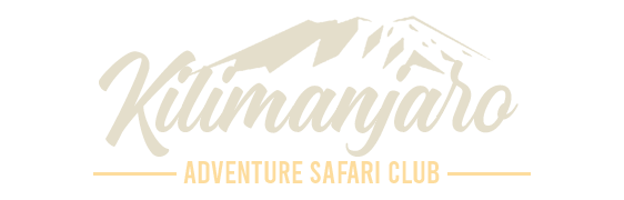 Tanzania Safari