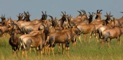 lakemanyara5