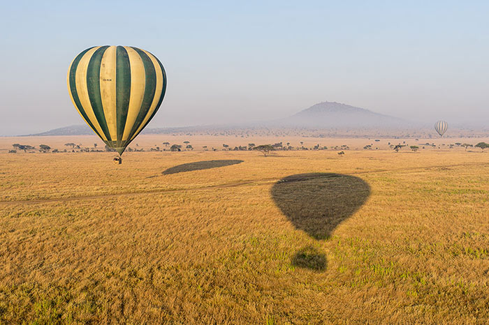 Balloon safari