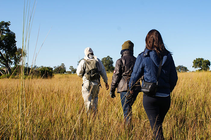 Walking Safaris